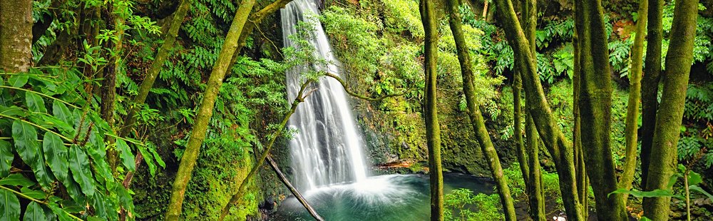 Faial da Terra