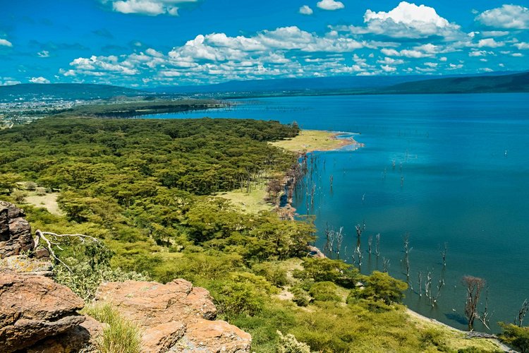 Lac Nakuru - Kenya 3