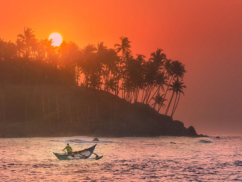 Mirissa Beach