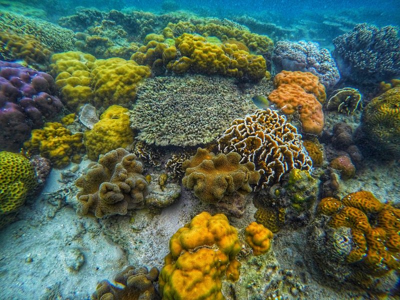Faire du snorkeling à Siete Pecados
