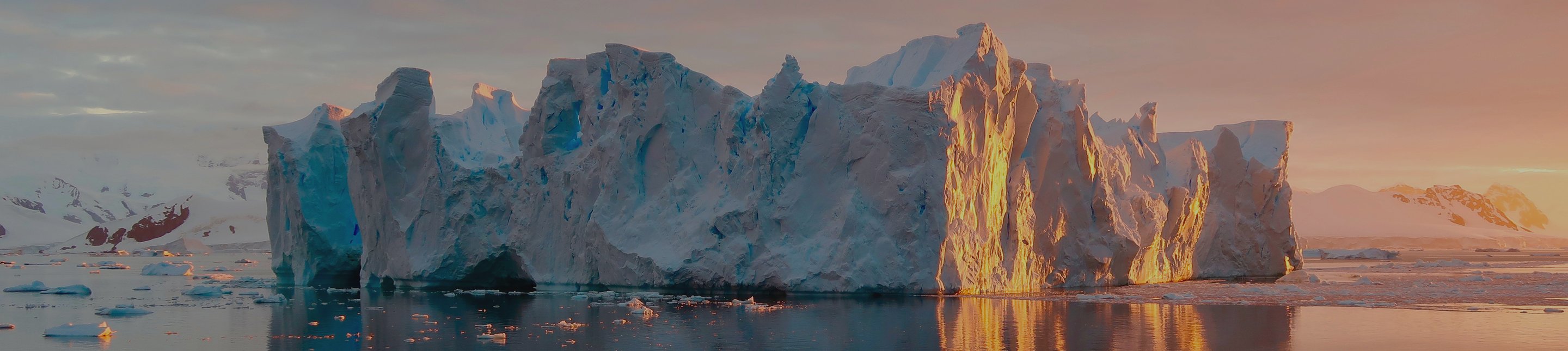 ANTARCTIQUE WIKIP DIA visual data 2