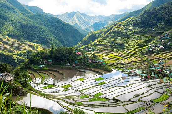 Rizières de Banaue et Batad