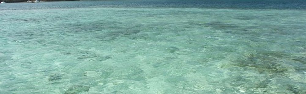 Les Fonds Blancs du François et la Baignoire de Joséphine