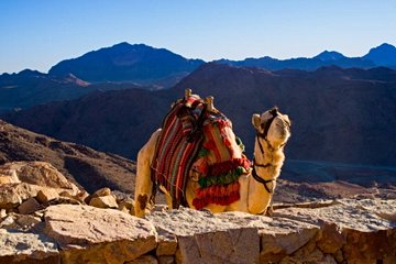Mont Sinaï
