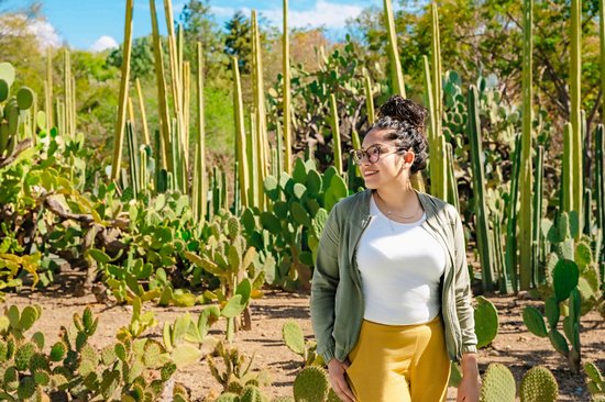 Jardin ethnobotanique