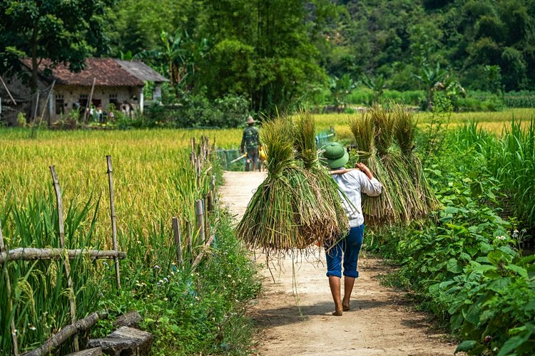 Cao Bang et la frontière chinoise 2