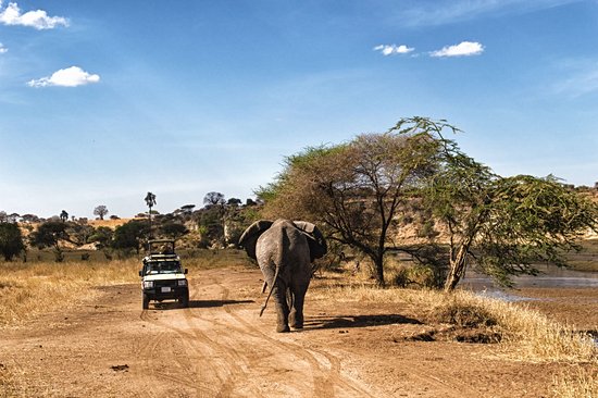Parc national du Serengeti