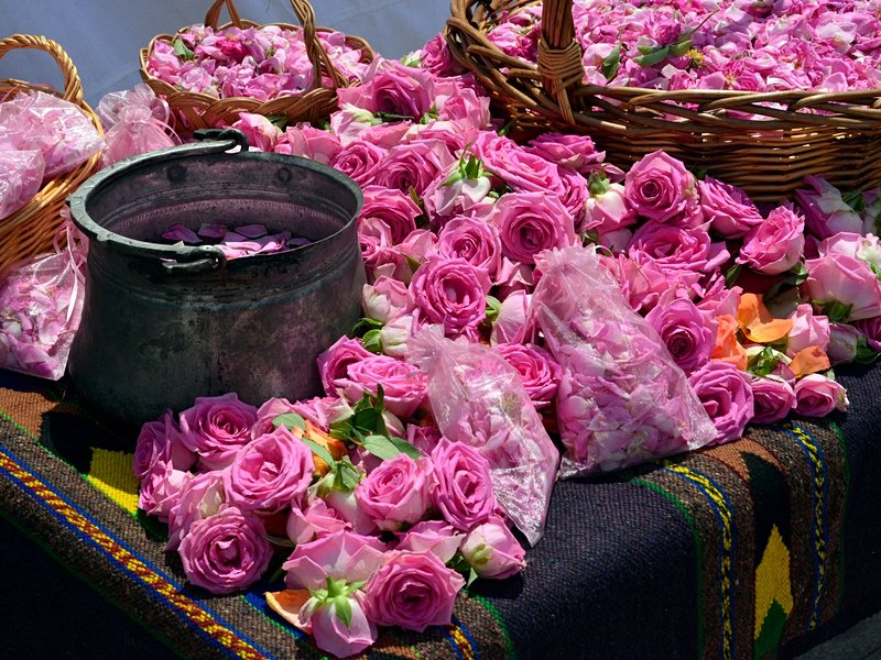 Le Musée de la Rose de Kazanlak