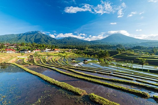 Jatiluwih (Bali)