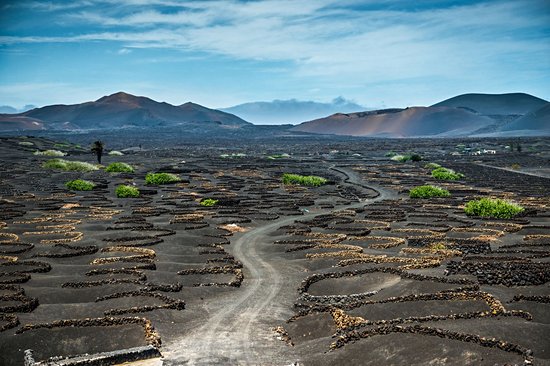 La Geria-Route des vins