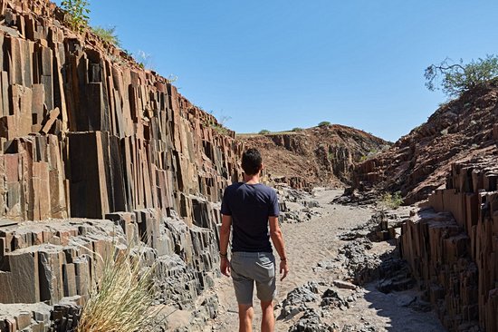 Organ Pipes