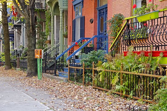 Le Plateau-Mont-Royal et le Mile End