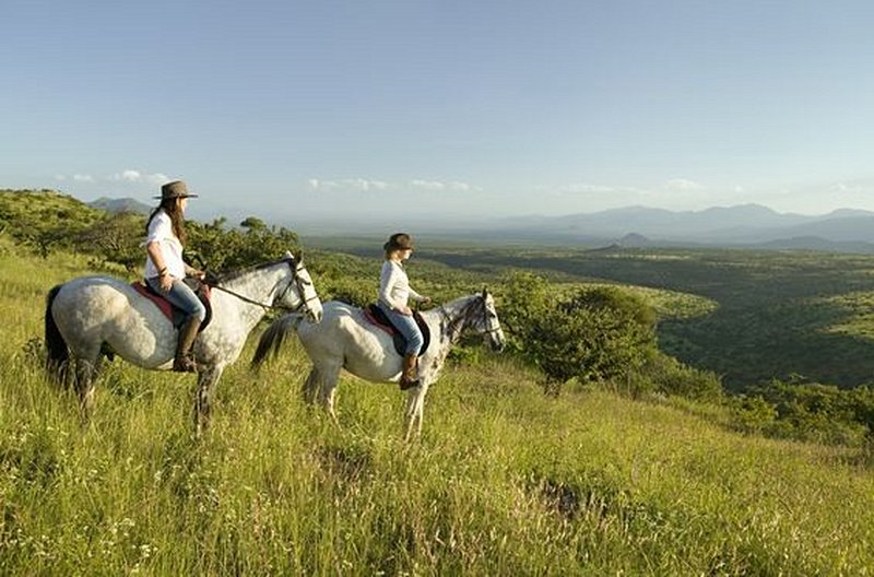 Faire une balade à cheval au milieu des animaux