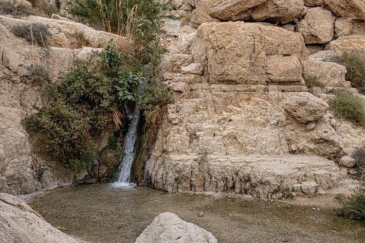 La balade désertique : Nahal David