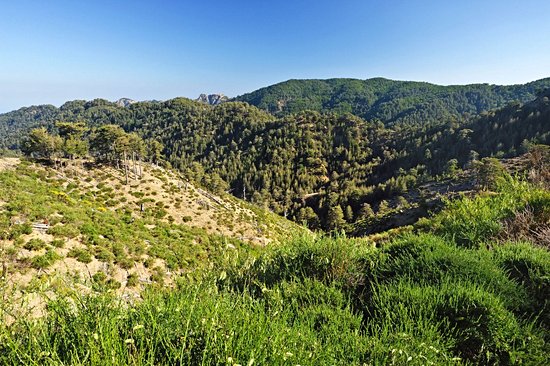 Parc national d'Aspromonte