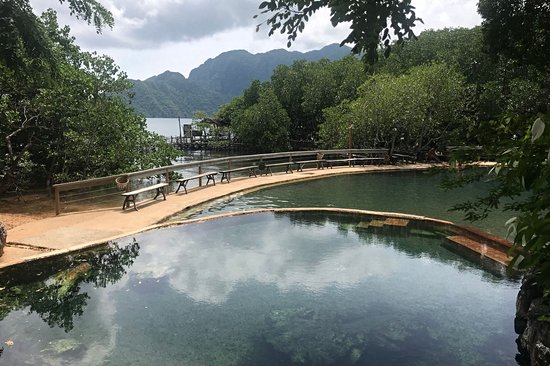 Se prélasser aux Maquinit Hot Springs