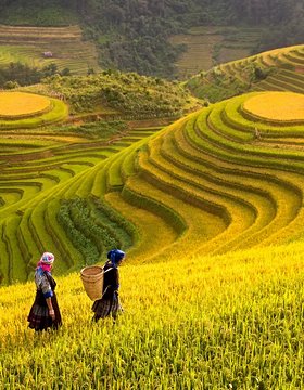Les plus beaux lieux de Sapa