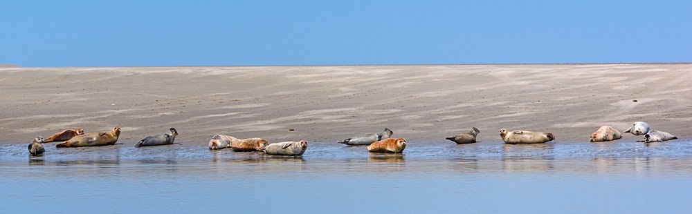 La Baie de Somme