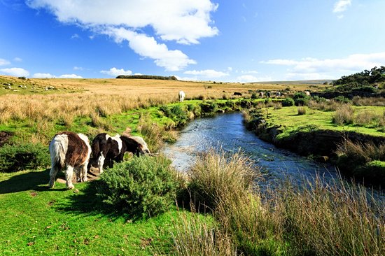 Dartmoor