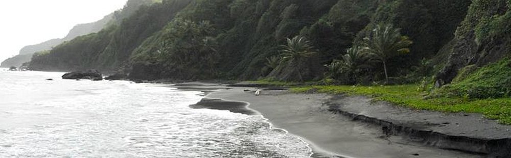 La plage de Sinaï à Grand’Rivière