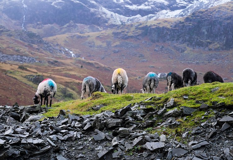 Le parc national du Lake District 3