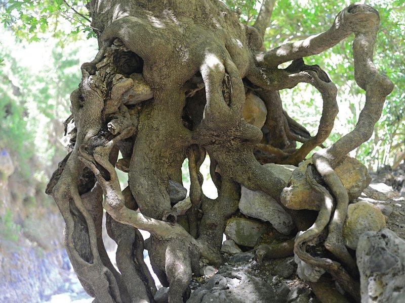 Gorges d'Agia Irini