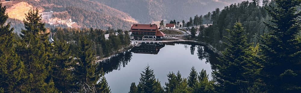 La rando bucolique : le Hornisgrinde