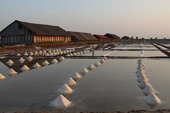 Les marais salants de Kampot