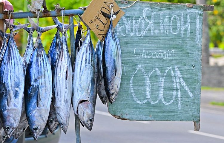 Poissons frais 