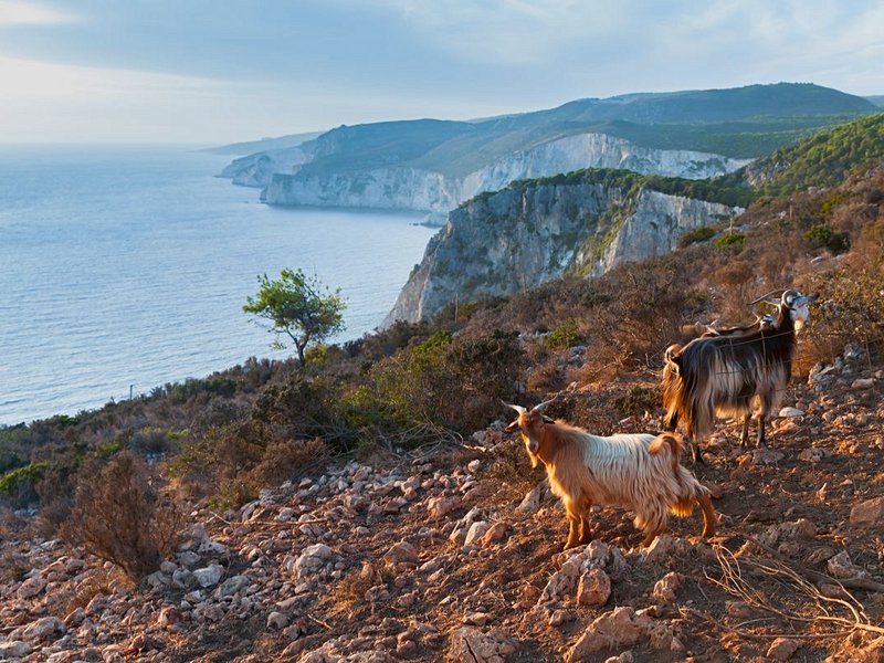 La randonnée au centre de l'île ou sur les côtes