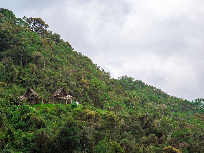 Amazonie bolivienne