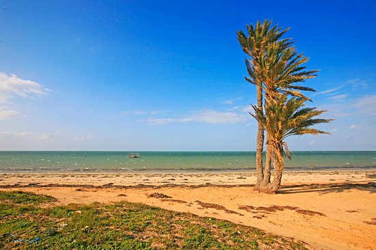 Les plages de Kerkennah