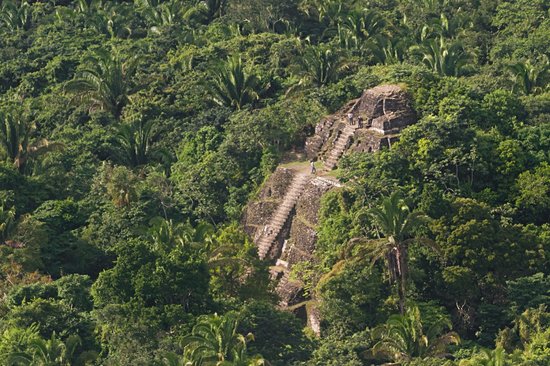 Le site maya de Lamanai