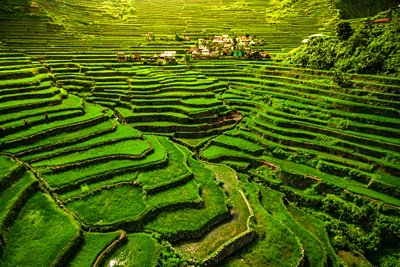 Ifugao