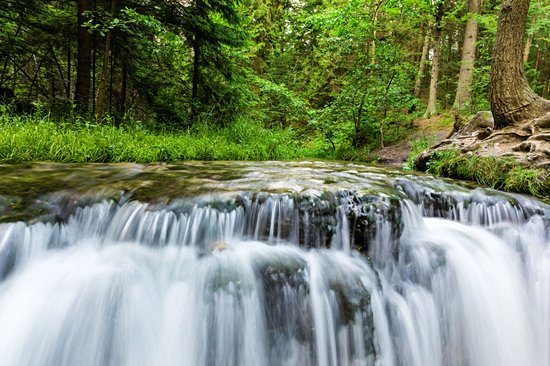 Parc national de Roztocze