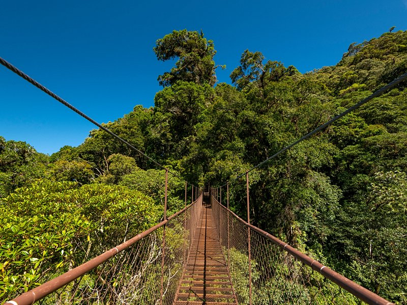 Parc national du Volcan Baru