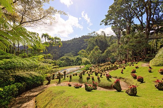 Jardin de Balata