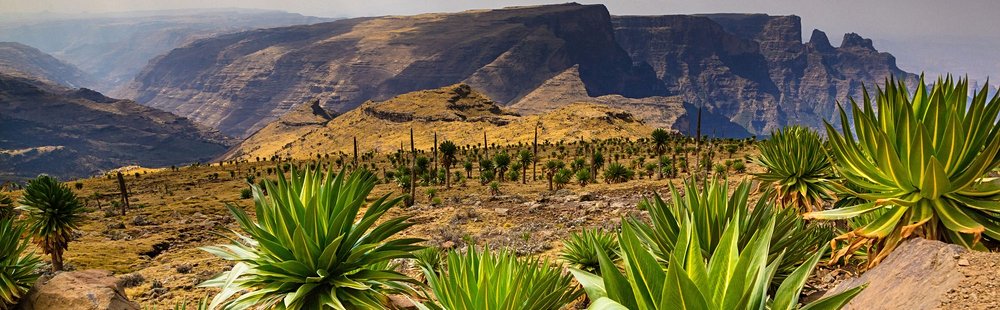 Parc national du Simien