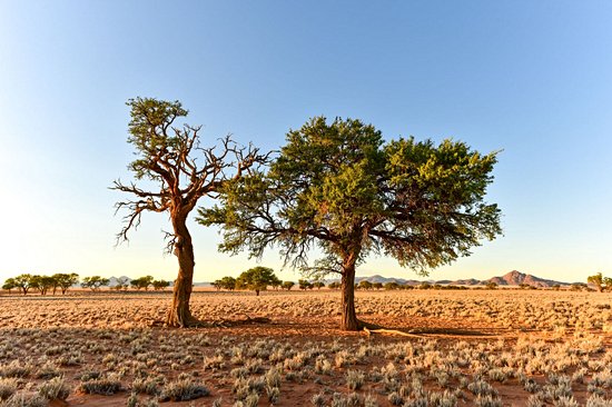 Réserve de NamibRand Nature