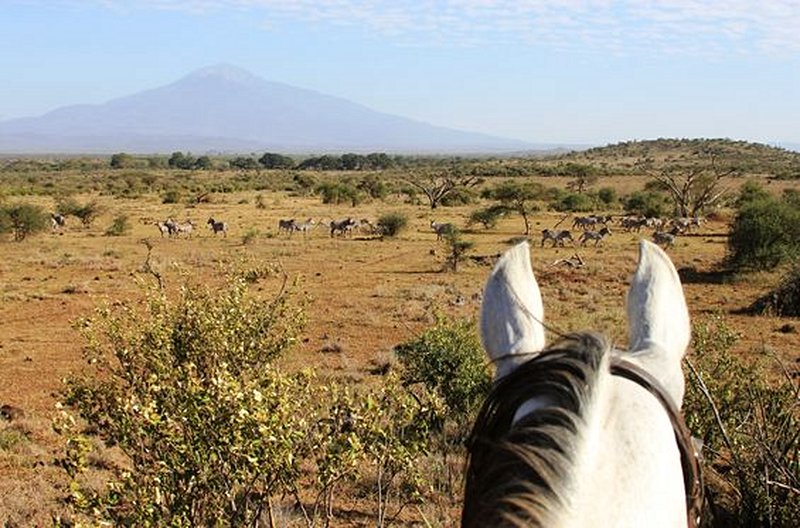 Faire un safari à cheval  