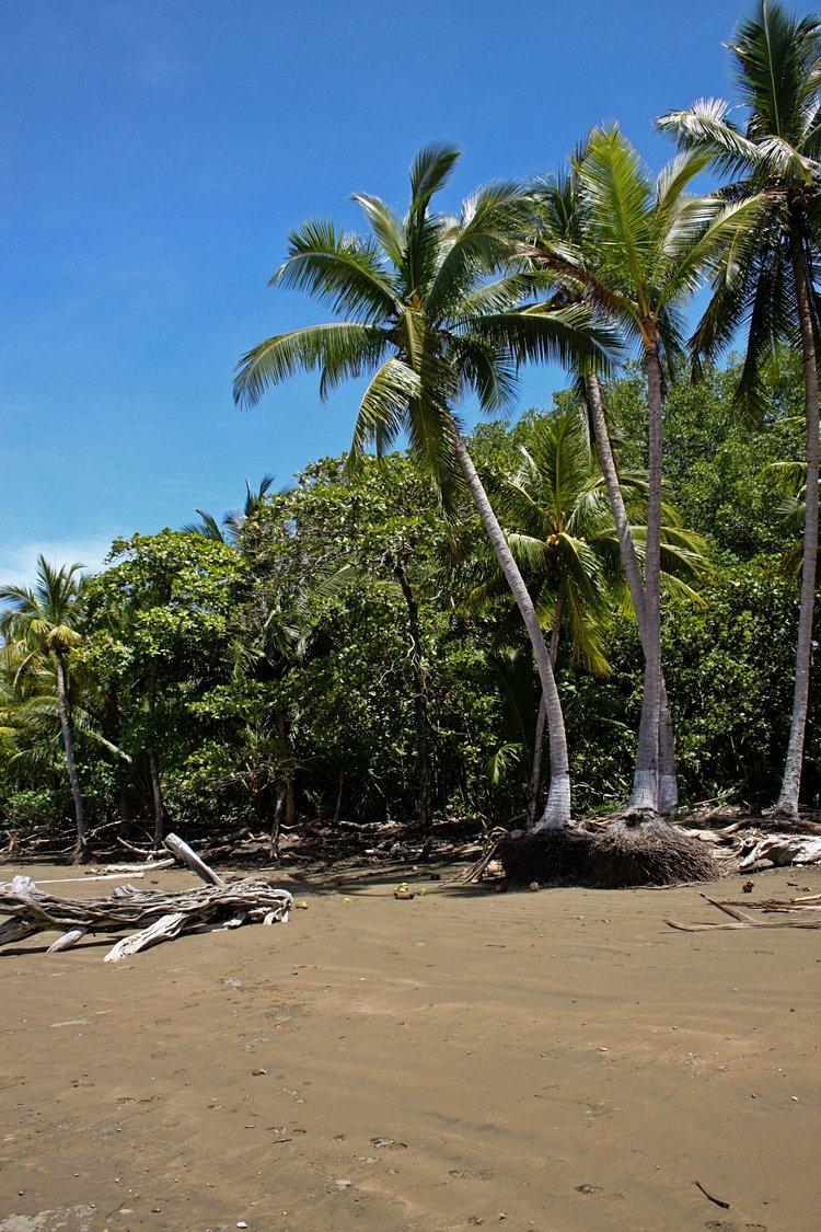 La plage d’Uvita 4