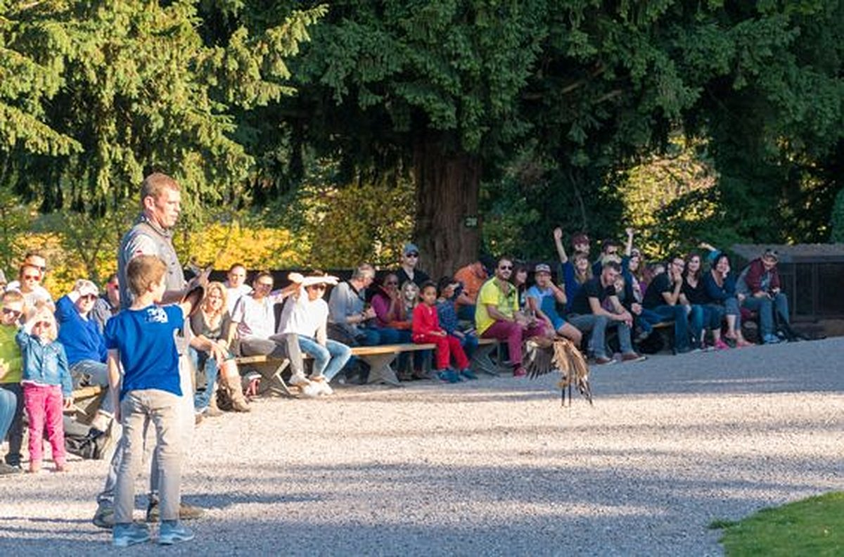 Observer les animaux dans de beaux parcs animaliers