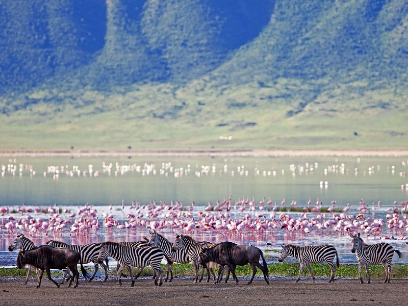 Cratère du Ngorongoro