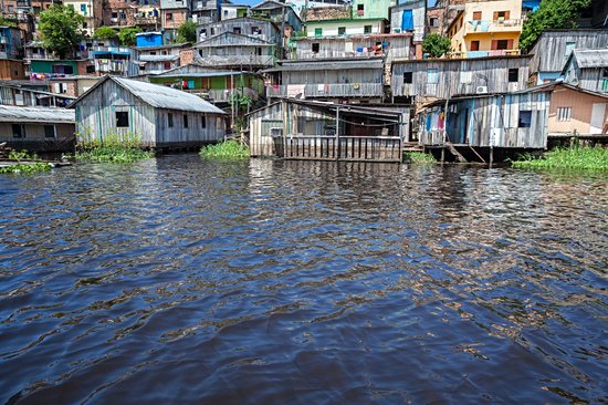 Belém et Manaus, Forêt Amazonienne