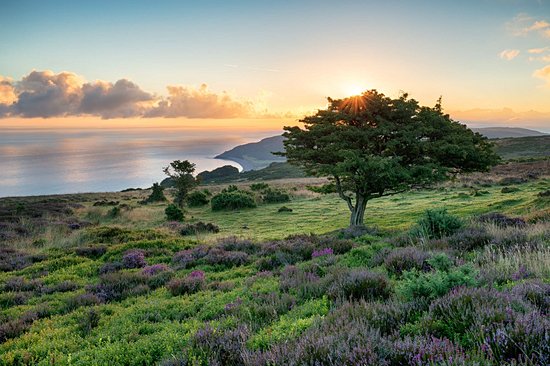 Exmoor