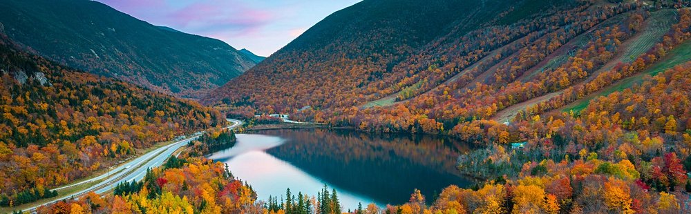 White Mountains national forest