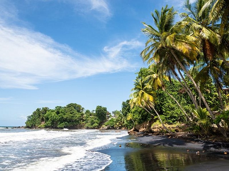 Plage du Roseau, Sainte-Marie