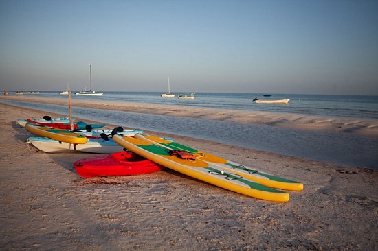 Faire du kayak dans les mangroves