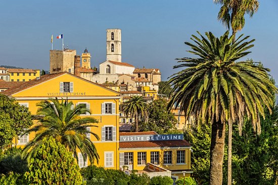 Grasse