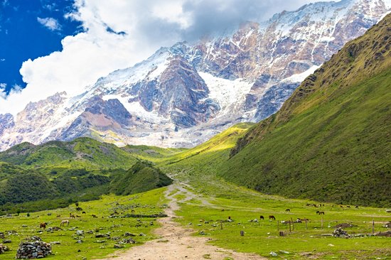 Salkantay Trek